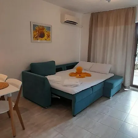 Lilia каваци, Apartamento