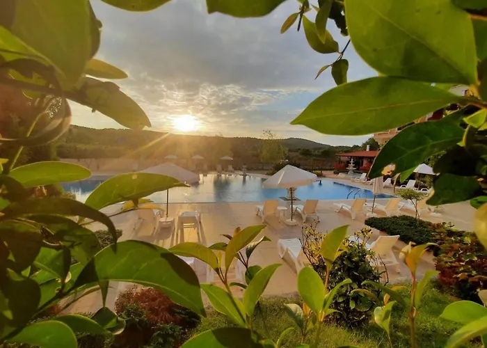 Lilia каваци, Sozopol