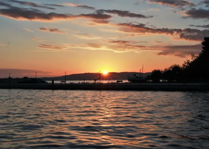 Lilia каваци, * Sozopol